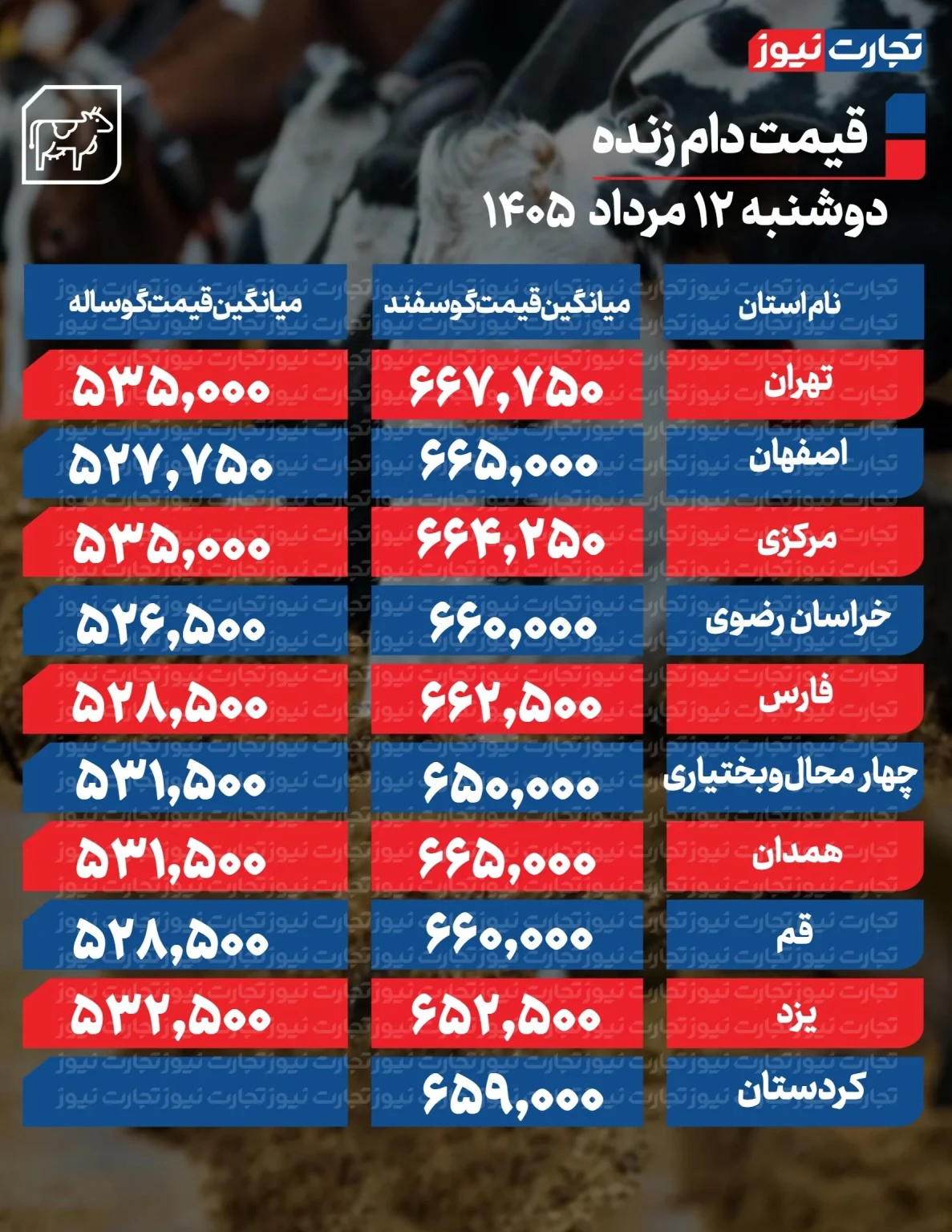 قیمت جدید دام زنده امروز ۱۲ مرداد ۱۴۰۵/ ارزانترین گوسفند در این منطقه به فروش میرود + جدول
