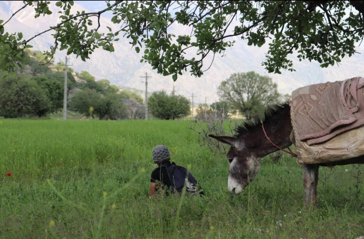 مستند «نازول» به کارگردانی یک خوزستانی، در جشنواره معتبر بالکان به نمایش درمی‌آید