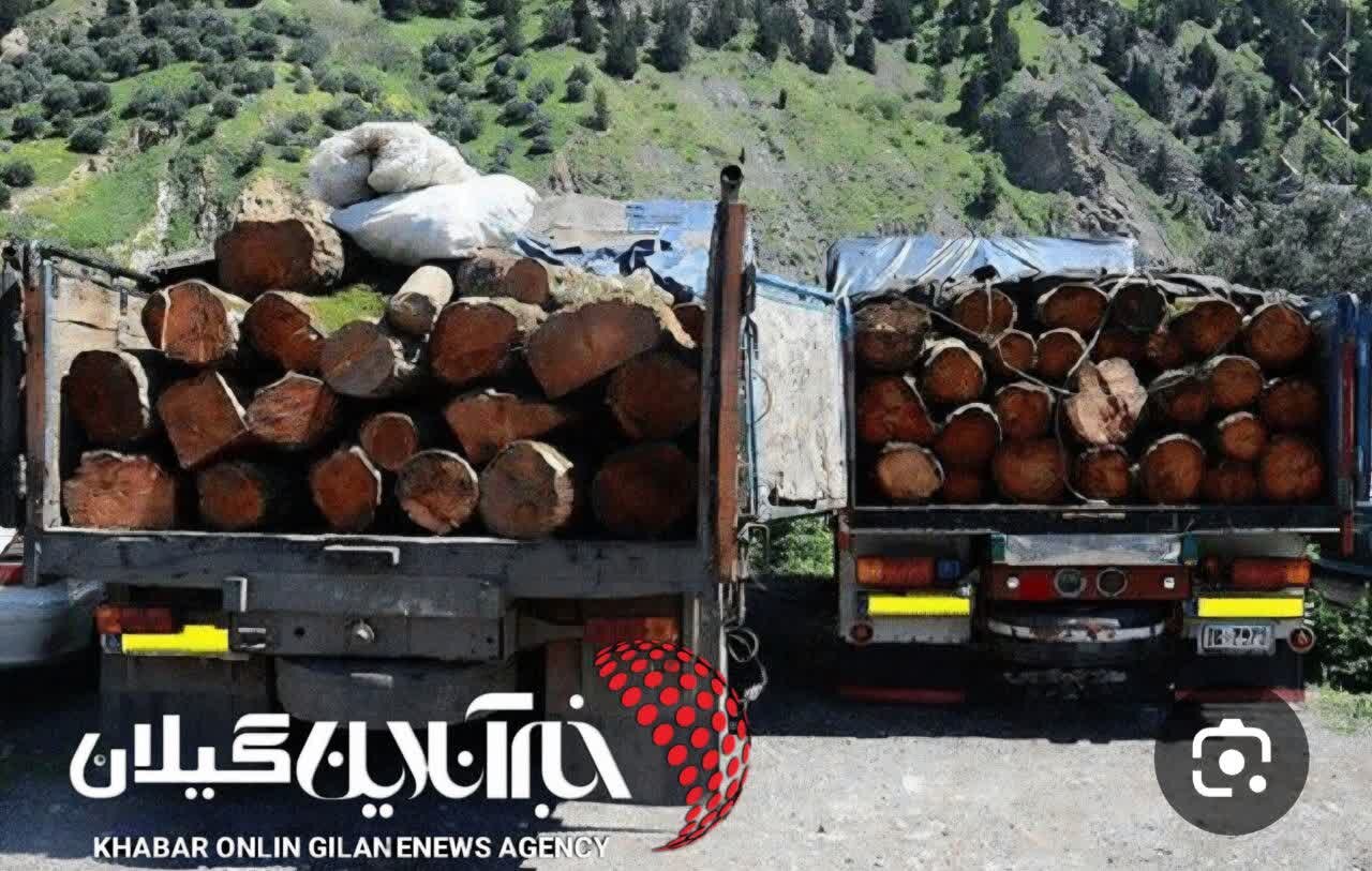 کشف ۸ تن چوب قاچاق در رودسر
